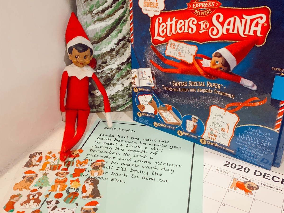 24 Elf on the Shelf&nbsp;Ideas